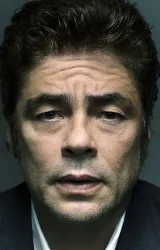 Бенисио Дель Торо